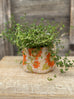 Belle's Orange Print Soft Kantha Cozie
