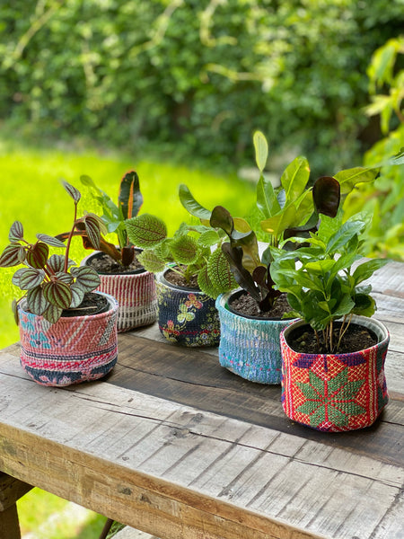 Belle's Kantha Plant Cozies